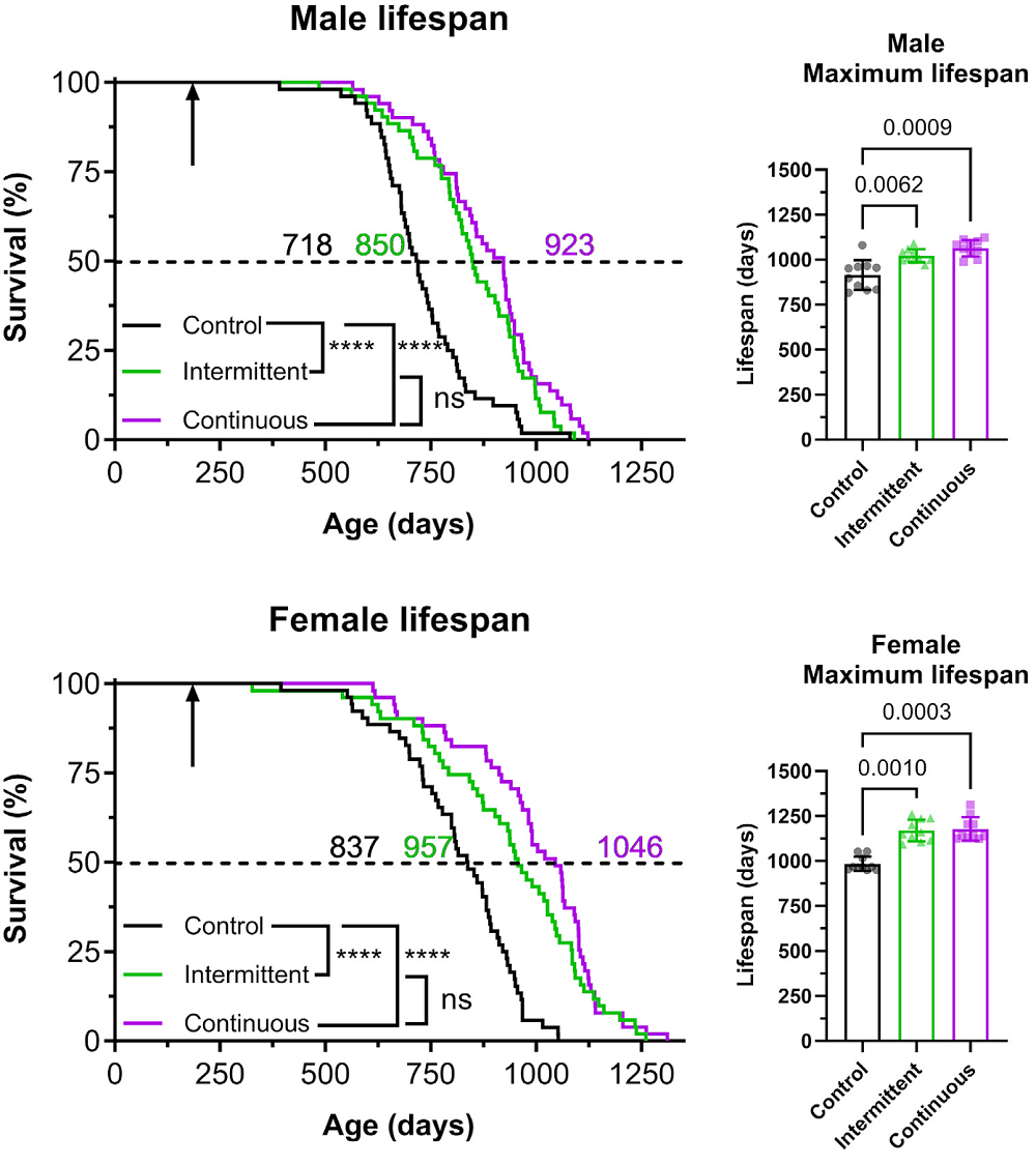 Rapamycin 1