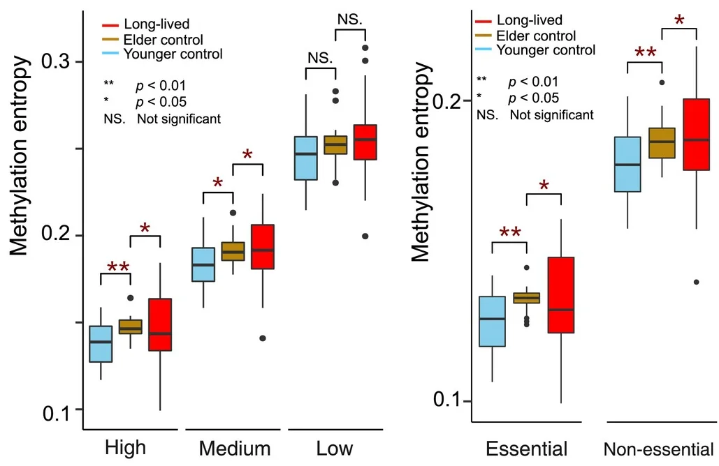 Methylation entropy