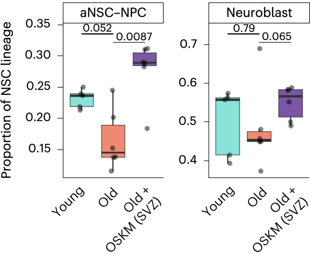 Reprogrammed neuron metrics