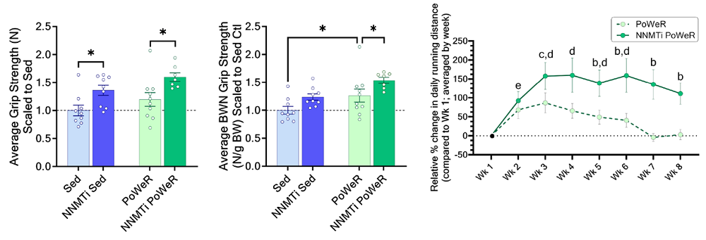 NNMT Exercise Mice