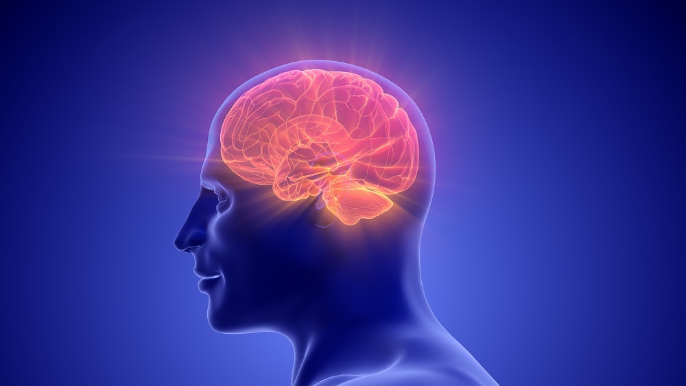 Novel Exosome Therapy for Brain Inflammation in Aging