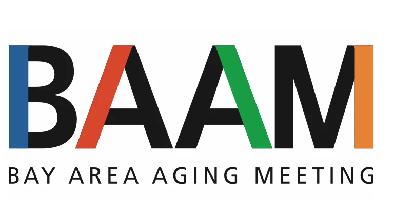 BAAM logo