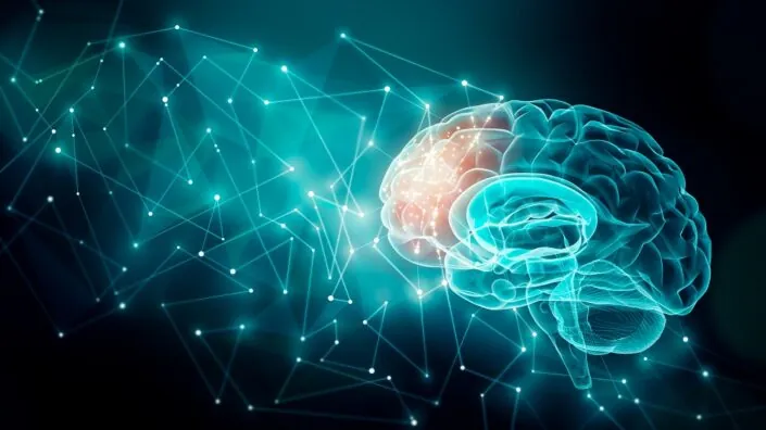 Brain activity