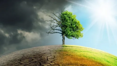 Environmental exposure