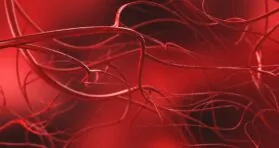 A Senescence-Related Target for Blood Vessel Formation