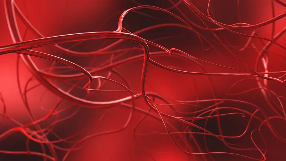 A Senescence-Related Target for Blood Vessel Formation