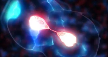 Researchers Fight Some Mutations by Targeting Mitochondria