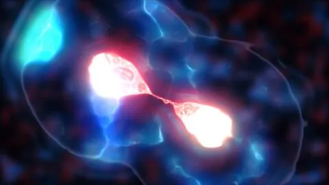 Cellular division