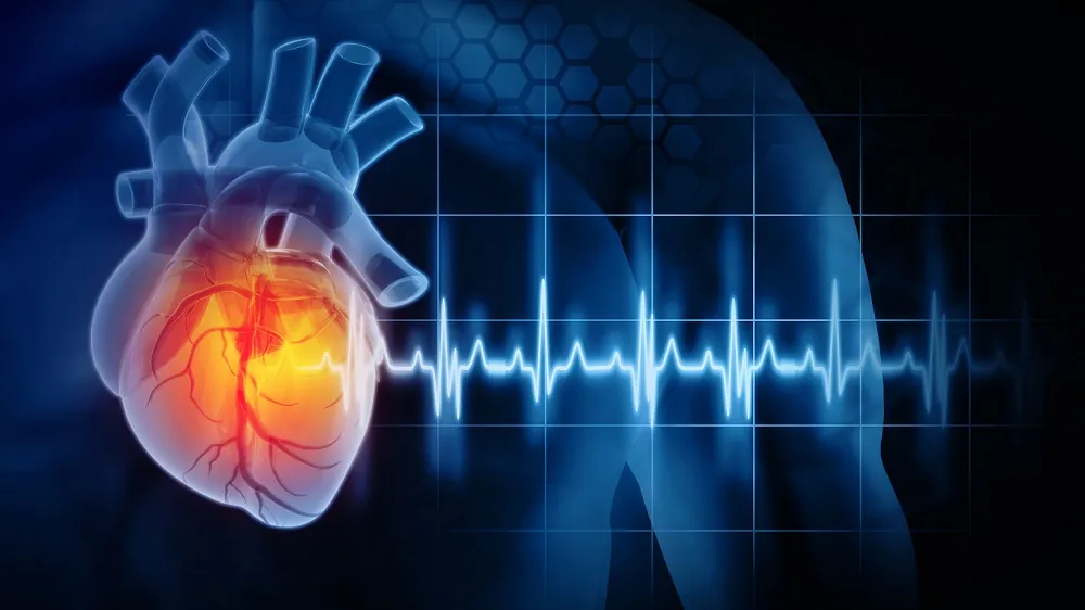 Heartbeat