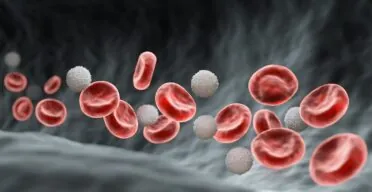 Immune Resilience Is a Strong Determinant of Mortality