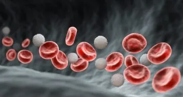 Immune Resilience Is a Strong Determinant of Mortality