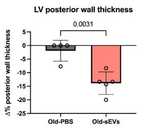 sEVs wall thickness