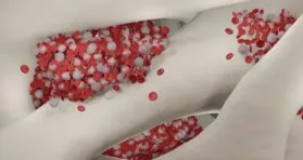 DNA Methylation Patterns Trace Blood Aging Dynamics