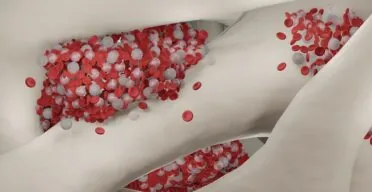 DNA Methylation Patterns Trace Blood Aging Dynamics