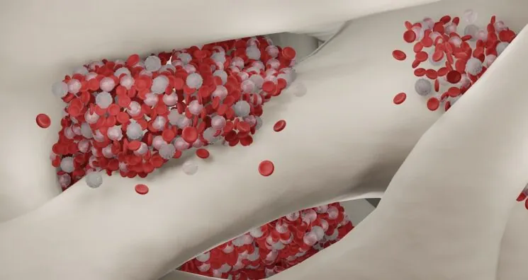 DNA Methylation Patterns Trace Blood Aging Dynamics