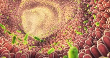 Why We Age: Dysbiosis