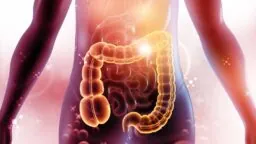 Intestines