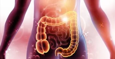 Young Microbiota Transfer Reduces Aging Aspects in Mice