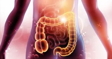 Young Microbiota Transfer Reduces Aging Aspects in Mice