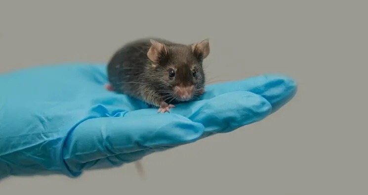 Dietary Methionine Restriction Improves Healthspan in Mice