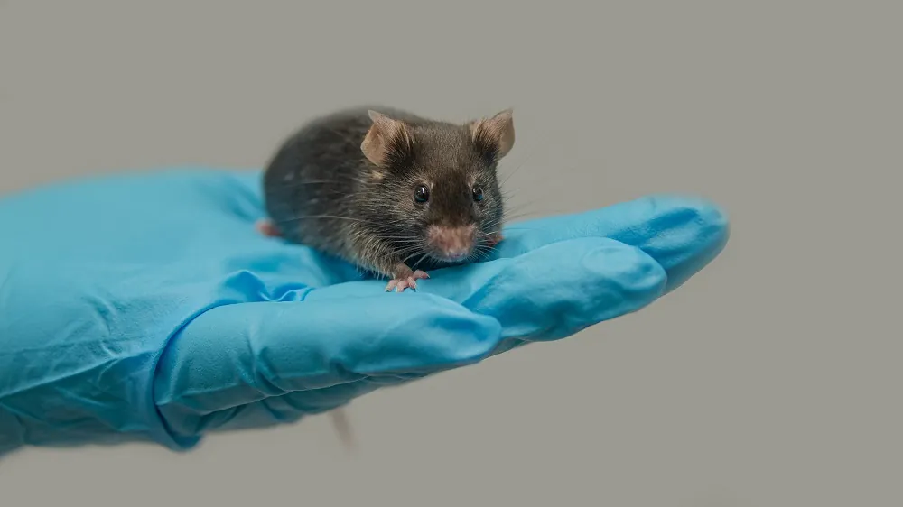 Methionine Restriction Boosts Healthspan in Aged Mice
