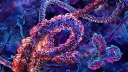 Protein folding