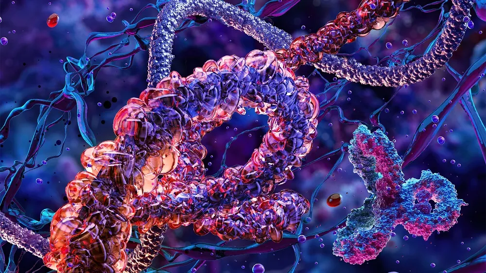 Protein folding