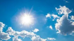 Sunlight