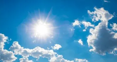Vitamin D Rescues Telomere Attrition in Leukocytes