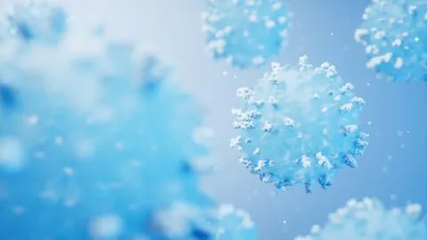 T cells