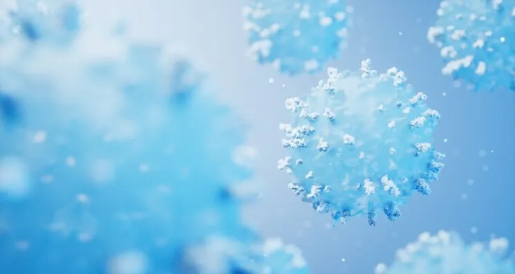 Gamma Delta T Cells Show Promise Against Cellular Senescence