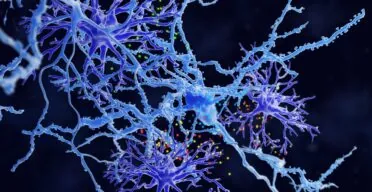 Researchers Identify a New Dementia Target