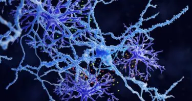 Researchers Identify a New Dementia Target