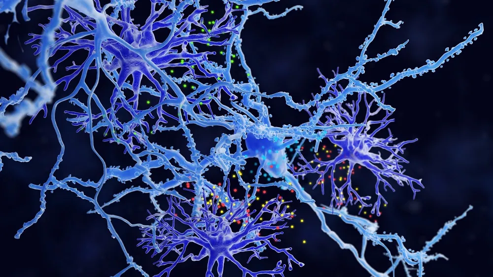 Researchers Identify a New Dementia Target