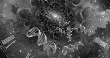 Researchers Find Age-Modulatory Perturbations at Scale
