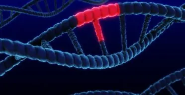 Targeting an Inflammatory Pathway Fights Alzheimer’s