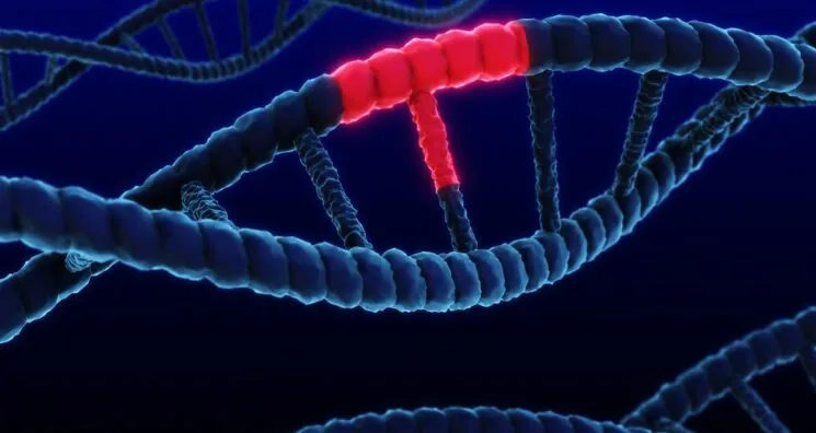 Targeting an Inflammatory Pathway Fights Alzheimer’s