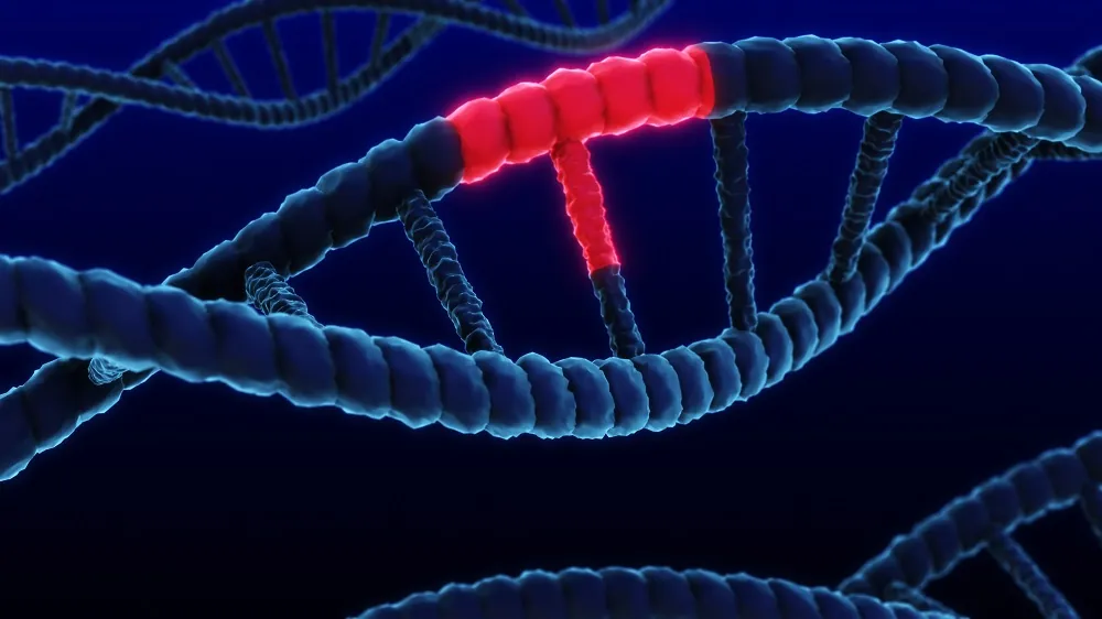 DNA mutation