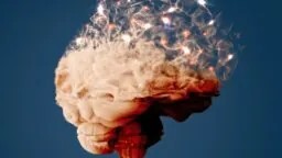 Disappearing brain
