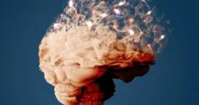 Blunting an Inflammatory Pathway Slows Alzheimer’s in Mice