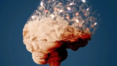 Disappearing brain