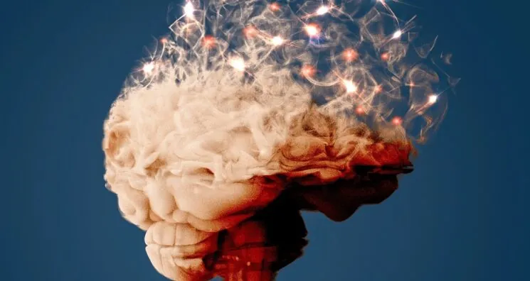 Blunting an Inflammatory Pathway Slows Alzheimer’s in Mice