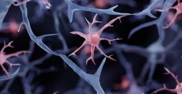 Engineering Microglia to Deliver an Anti-Alzheimer’s Drug
