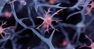 Engineering Microglia to Deliver an Anti-Alzheimer’s Drug