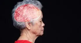 Longer Reproductive Spans Linked to Younger Brains in Women