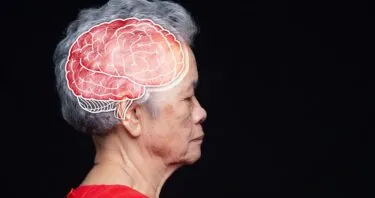 Longer Reproductive Spans Linked to Younger Brains in Women
