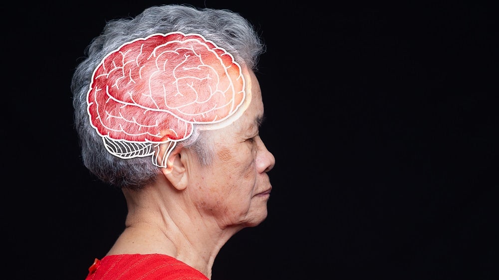 "Reproductive Span Tied to Brain Health in Women"