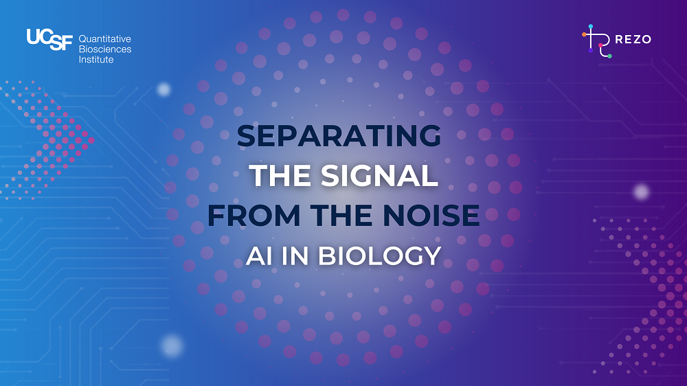 Signal From the Noise