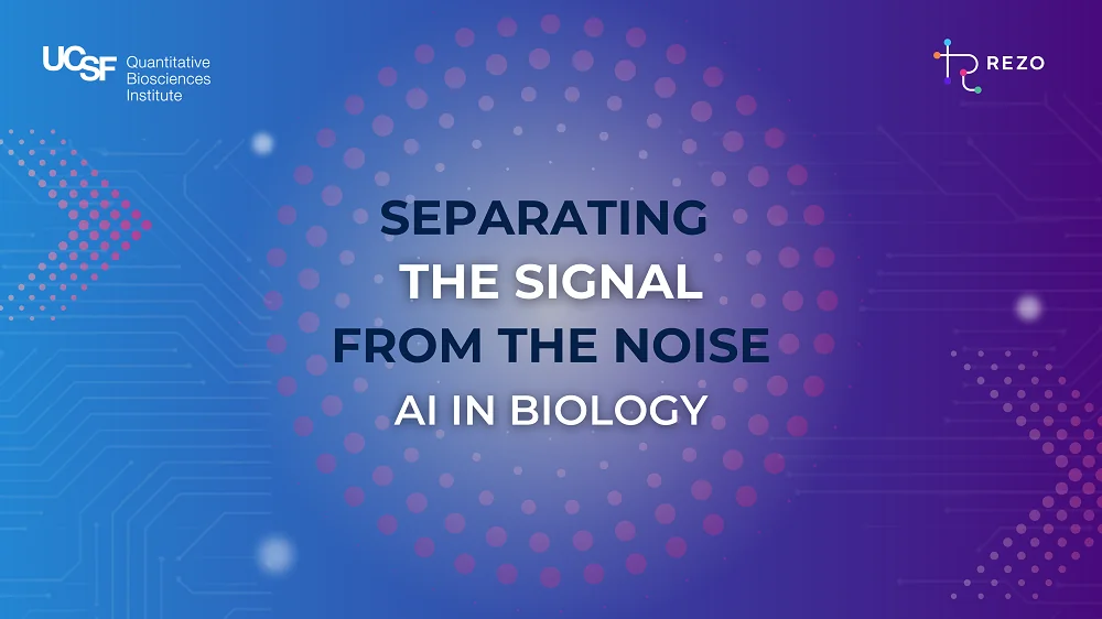 Signal From the Noise