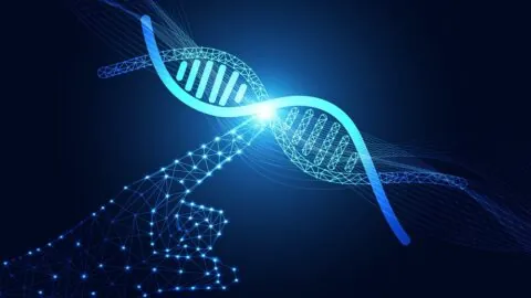 Touching DNA